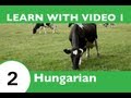 Learn Hungarian with Video - Learning Hungarian Vocabulary for Farm Animals Has Never Been More Fun!