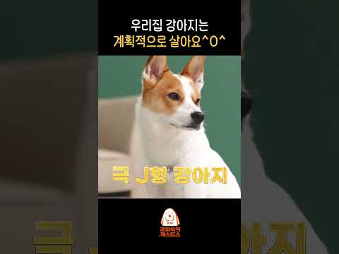 뭘 계획했는데요?