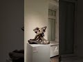 state museum of modern western art #art #paintings #travel