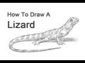 How to Draw a Lizard