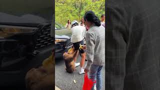 Monkey Clings to Cyclist, Refuses to Let Go