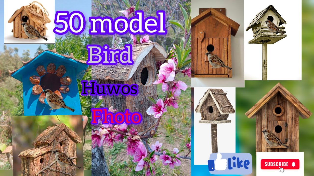 50 Unique Rustic bird house and bird feeder ideas!! Handmade project bird house and bird feeder!!