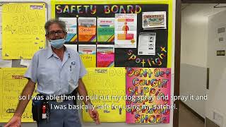 Chew On This Dog Safety Video | Los Angeles District USPS Safety Video