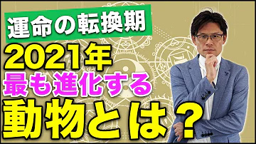 夜ふかし 動物 占い 夜ふかし 動物 占い