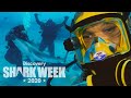Mike Tyson Puts a Shark Into Tonic Immobility! | Shark Week
