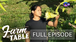Farm To Table: Exploring Ignacio-Toliongco Farm in Nueva Ecija (Full episode) (Stream Together)