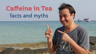 Caffeine in Tea  Facts and Myths