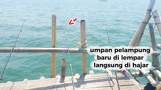 Pake pelampung lebih gacor ll mancing bagan tanjung kait