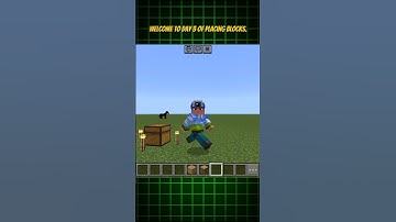 Day 3 of Placing BLOCKS #minecraft #shorts