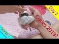 Monkey Baby Cutest you have ever seen 2019 | Day 7 Gets up and changing diapers