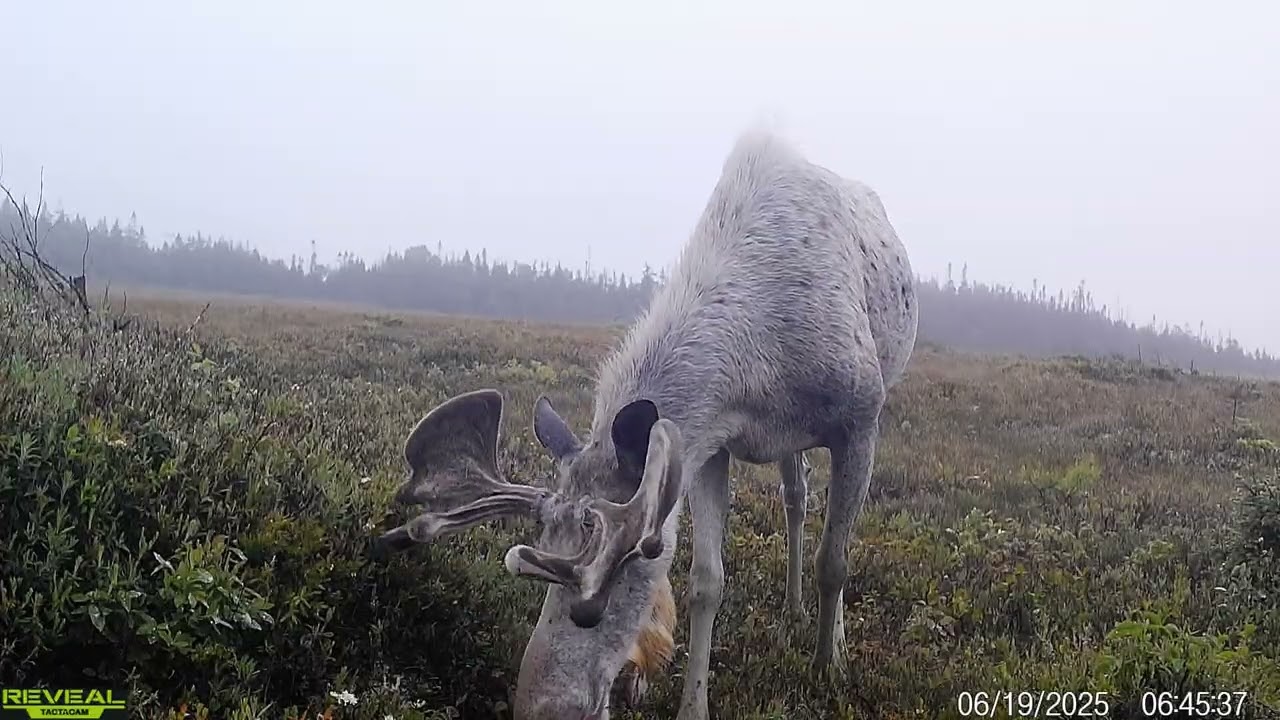 My favourite clips of 2025