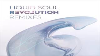 Liquid Soul - Revolution Remixes