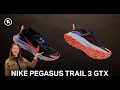 Nike Pegasus Trail 3 GORE-TEX Running Shoe