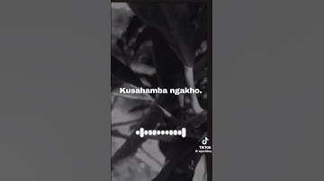 Thumbnail of Umathandana wami (feat. Shenge Wasehlalankosi)