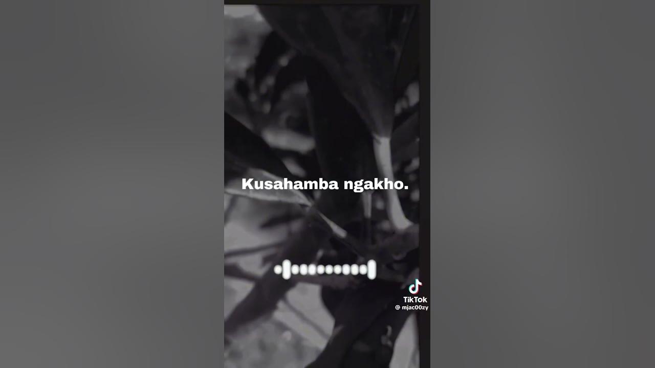 Umathandana wami (feat. Shenge Wasehlalankosi)