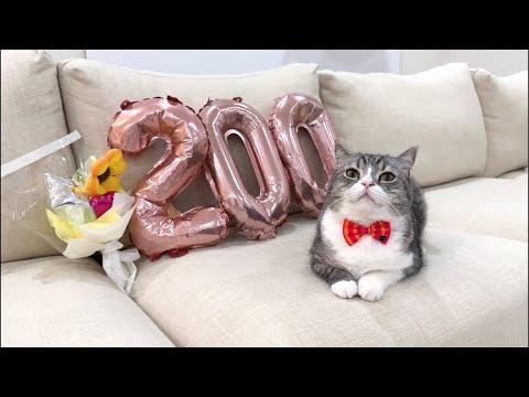 ※即決歓迎 即日発送 LLAC ソフビ猫土偶シリーズ 限定200 第一弾 星土偶 51Q6NeCcPlL._UF350,350_QL80_.jpg