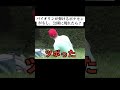 バイオリンが弾けるポケモンがもし、公園に現れたら?