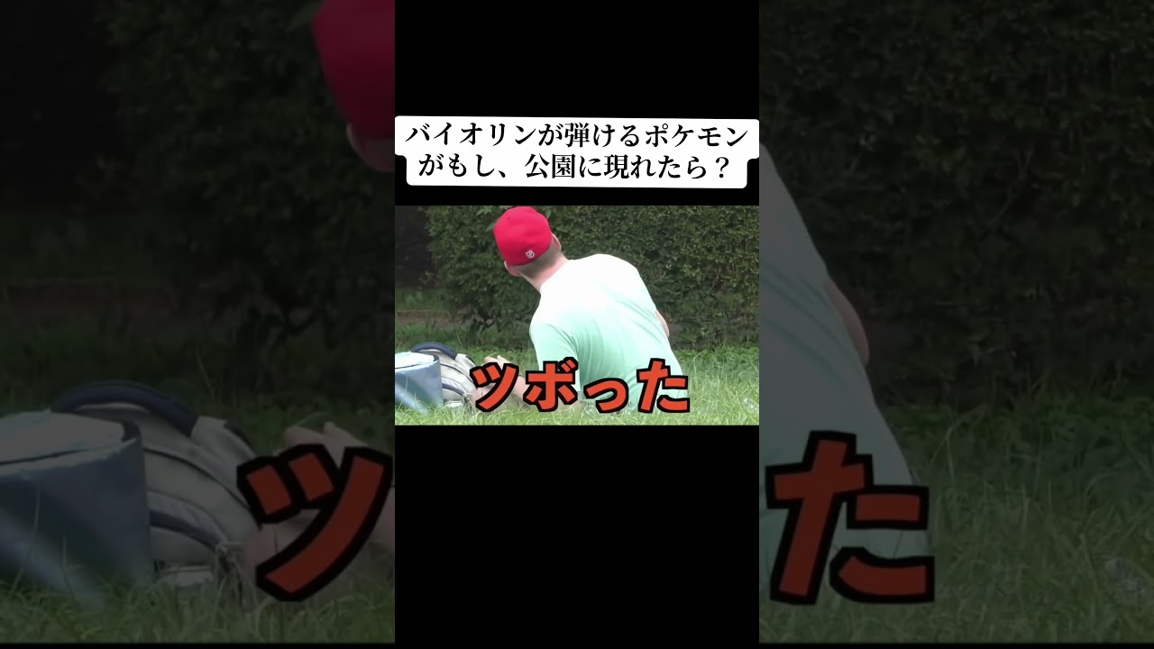 バイオリンが弾けるポケモンがもし、公園に現れたら?