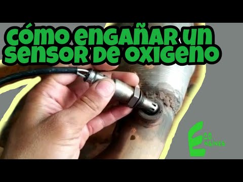 Cómo engañar al sensor de oxigeno 👀 - YouTube