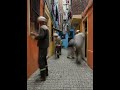 Trash-Filled Alley Cleanup Timelapse | Satisfying Street Restoration (Before &amp; After)