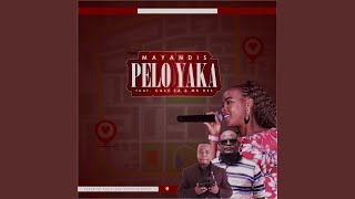 Pelo Yaka (feat. Case SA & Mr Des)