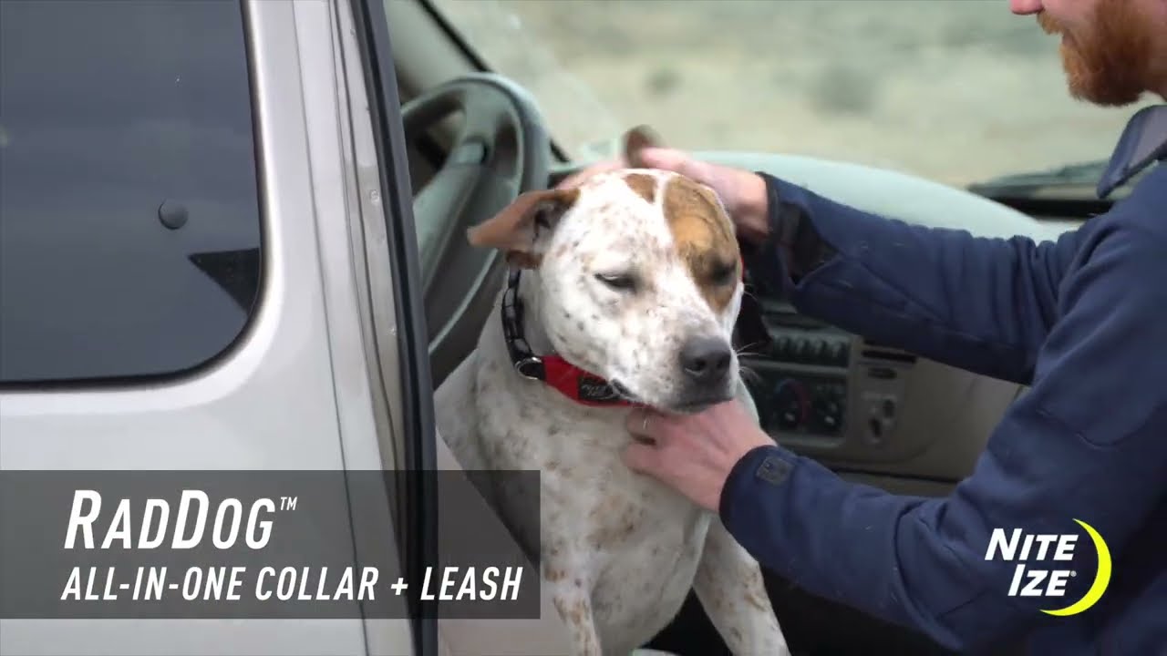 Preview of Nite Ize RadDog All-In-One Collar and Leash Video