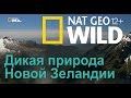 Nat Geo Wild: Дикая природа Новой Зеландии: затерянный рай / Wild New Zealand. Lost Paradise