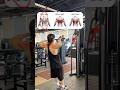 🔽케이블 위치에 따른 차이점🔽🔸UPPER vs MIDDLE vs LOWER🔸⠀#등운동 #케이블운동 #Cablerow #lat #back #backday #facepull