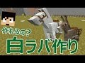 ラバキャスト マイクラ 作り方 285665-ラバキャスト マイクラ 作り方