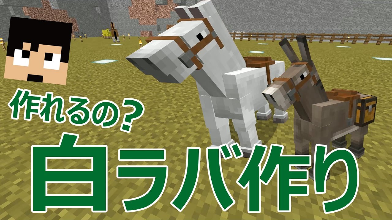 カズクラ 作れるの 白ラバ作り マイクラ実況 Part638 Youtube