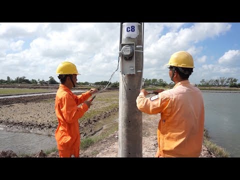 Video Đóng điện Cồn Phụng, thêm 136 hộ dân Trà Vinh có điện - youtube