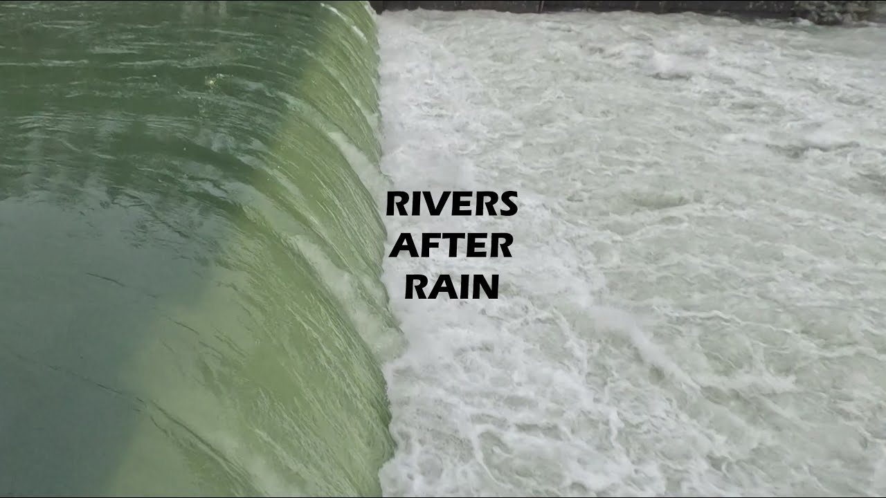 Rivers After Heavy Rain - Skagit River - Baker River - Baker Fish Trap