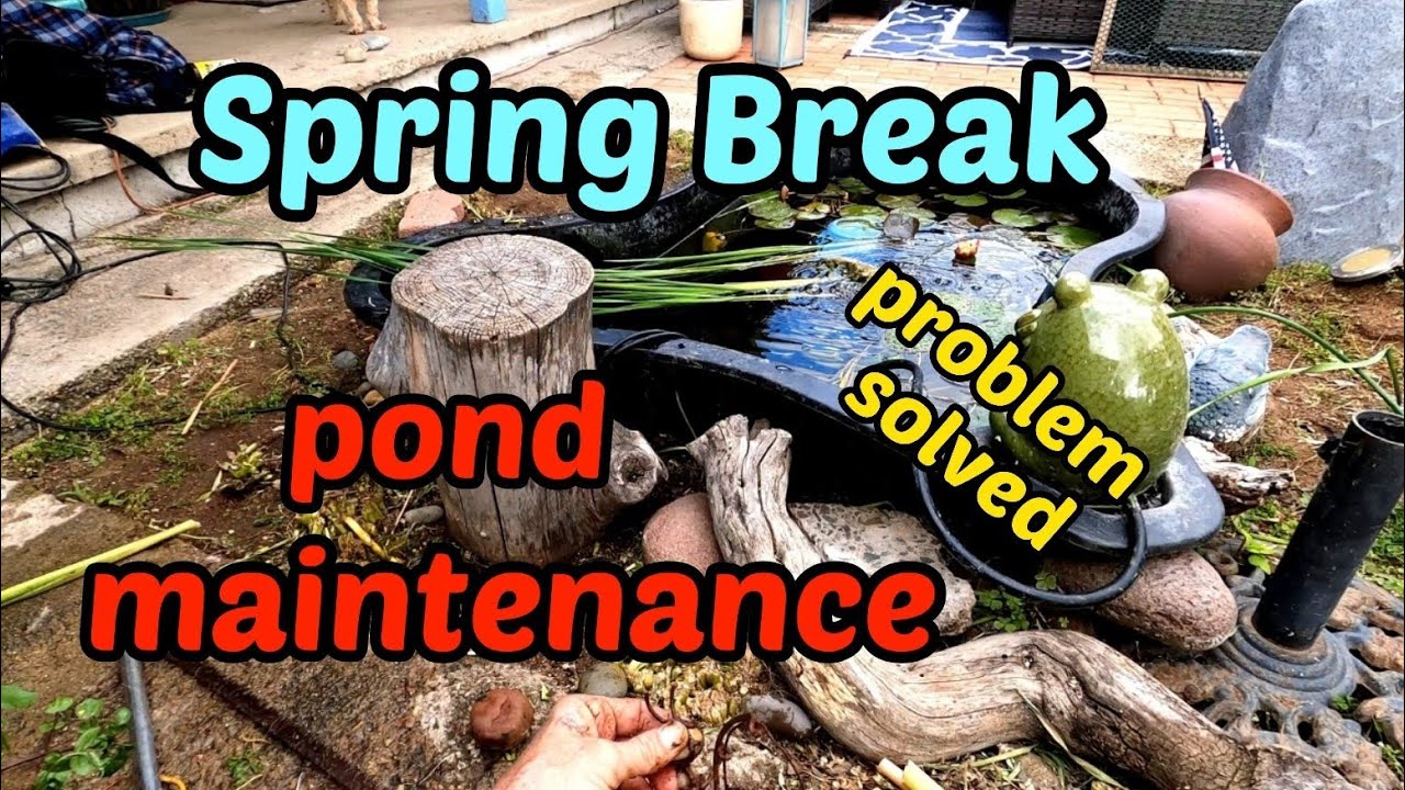 Spring Break problem fix 