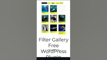 Animals Filter Gallery Plugin #Shorts