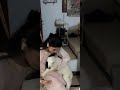 Labia Khan &amp; Eman Khan #acting #hitcollection #viral #love #funny #trending #song #worldwiderelease
