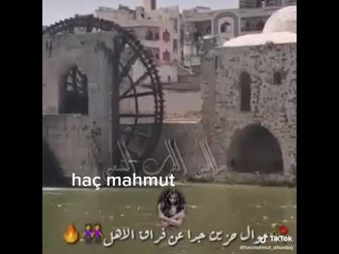 الله يرحم ايام سوريا موال لا خال يمي اجا ولا نشد عني لعام محروك كلبي صديك عل شوف خواني
