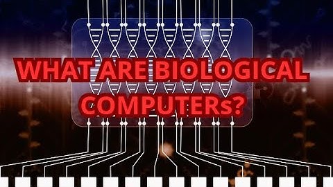 Unlocking the Future: Bio-Computers Revolutionizing Tech!