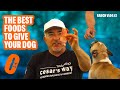 THE BEST FOOD TO FEED YOUR DOG | RANCH VLOGS #2