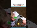 知っておくと役立つサバイバル術 🤣