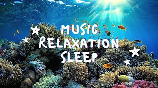 Musik Relaksasi Untuk Tidur | Aquarium 4K VIDEO Relaxing Music for Sleep | Rare \u0026 Colorful Sea Life