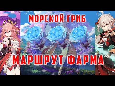 МОРСКОЙ ГРИБ. ПРОКАЧКА ЯЭ МИКО/КАДЗУХА. МАРШРУТ ФАРМА [Genshin Impact 2.5]