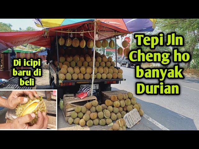 Durian asal Lumbang ada di pasar cheng ho pandaan class=