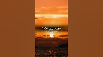 آيات بينات من الذكر الحكيم #القرآن_الكريم