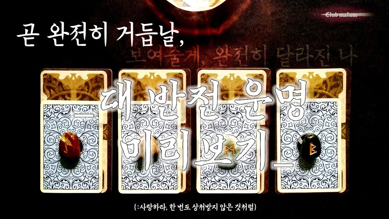 [타로카드] ‘곧 완전히 거듭날 당신의 새로운 시작.’ {:사랑하라, 한 번도 상처받지 않은 것처럼}