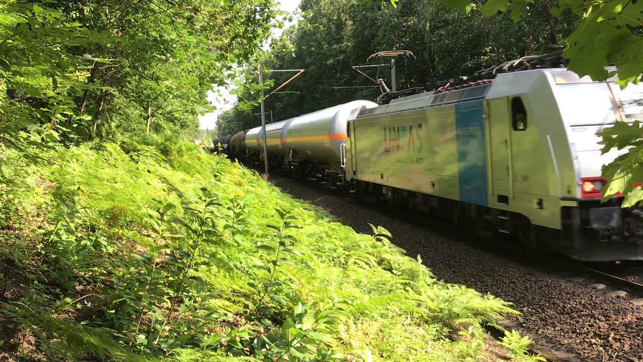 Nog een Unit Cargo Trein in het Venlose Bos bij het Grensbaanvak #2