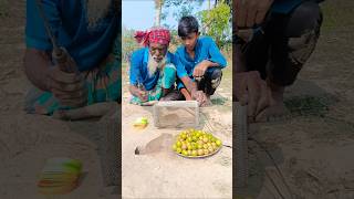 Creative rat hunting methods by old man 03 #rathunter #agriculture #rattrap #survival
