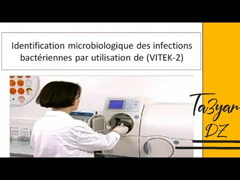 Vidéo: Ampisid - Instructions Pour L'utilisation D'un Antibiotique, Prix, Analogues, Critiques