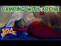 Camping With Archie KoalaBrothersTV Animation For Kids
