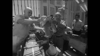 The *impossible* crane shot from SOY CUBA