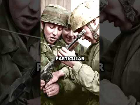 What Weapons Did Germany Loot In WW2 